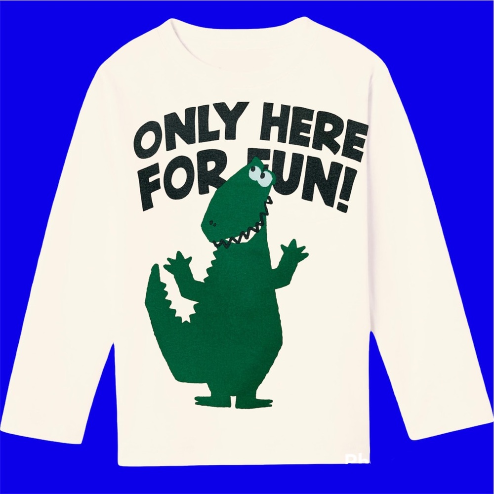 NWT Zara Tshirt Graphic Long Sleeve Shirt baby boys girls Toddlers Tee gift